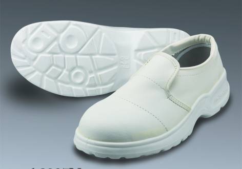 Antistatic Safety Shoe - A8027N